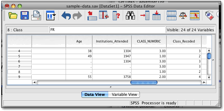 SPSS data view