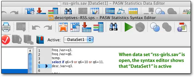 multiple datasets in PASW 18